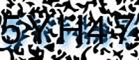 grafischer Sicherheitscode