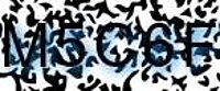 grafischer Sicherheitscode