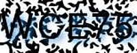 grafischer Sicherheitscode