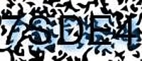 grafischer Sicherheitscode